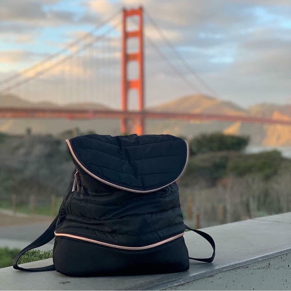 Stella & Dot Backpack - image 3